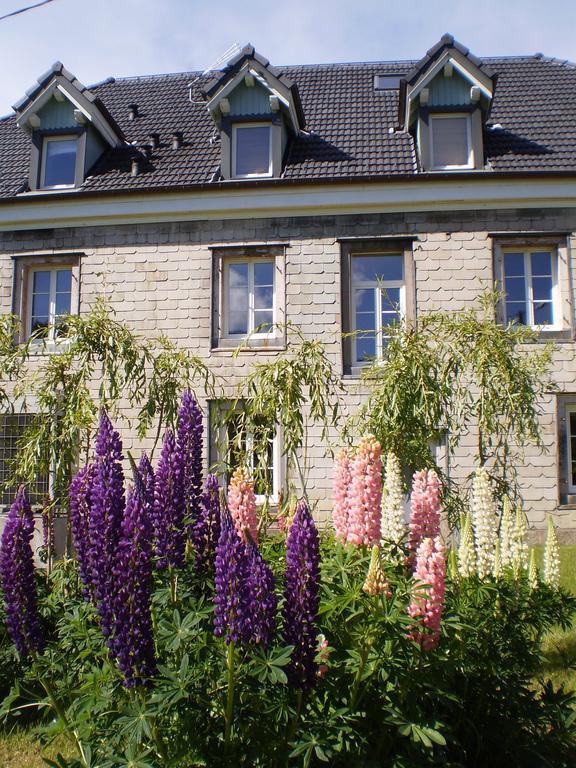 Chambres D'Hotes Le Clos Des Lesses Fresse-sur-Moselle Exterior foto